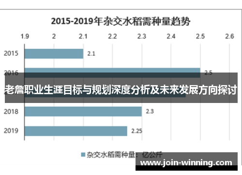 老詹职业生涯目标与规划深度分析及未来发展方向探讨