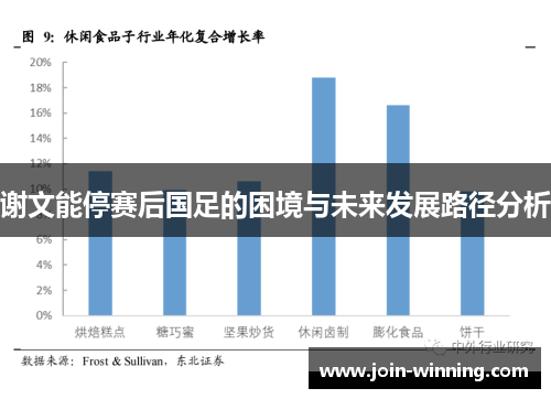 谢文能停赛后国足的困境与未来发展路径分析