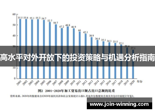 高水平对外开放下的投资策略与机遇分析指南
