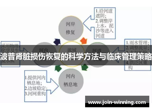 波普肾脏损伤恢复的科学方法与临床管理策略