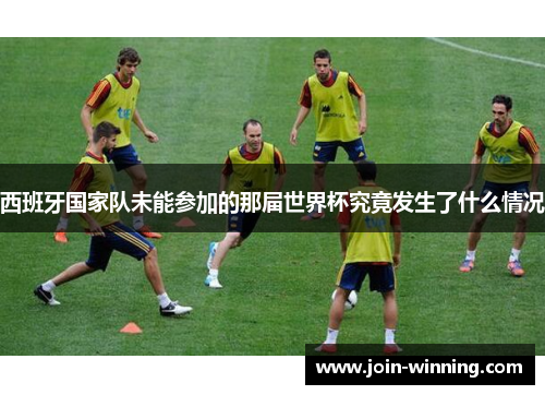 西班牙国家队未能参加的那届世界杯究竟发生了什么情况