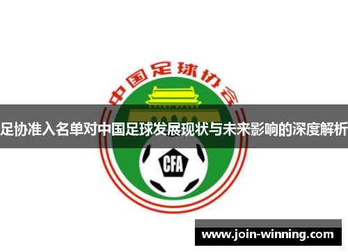 足协准入名单对中国足球发展现状与未来影响的深度解析