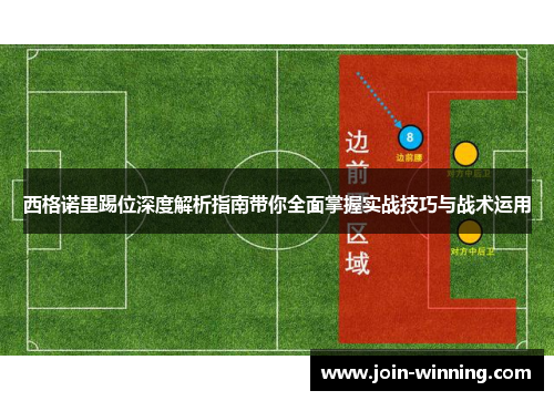 西格诺里踢位深度解析指南带你全面掌握实战技巧与战术运用